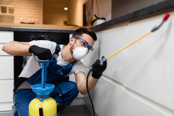 Best Emergency Pest Control  in Laughlin Af, TX