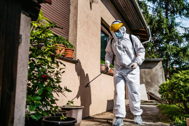 Best Flea Control Services  in Laughlin Af, TX