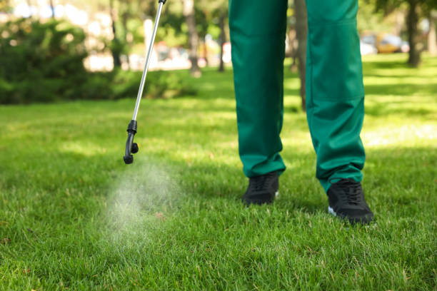 Best Best Pest Control Companies  in Laughlin Af, TX
