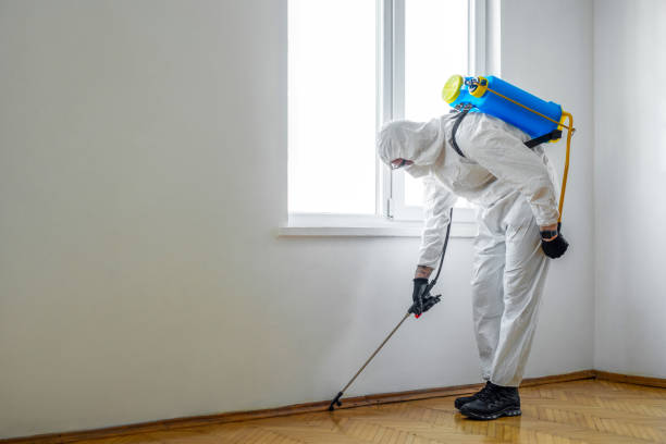 Best Mosquito Control Services  in Laughlin Af, TX