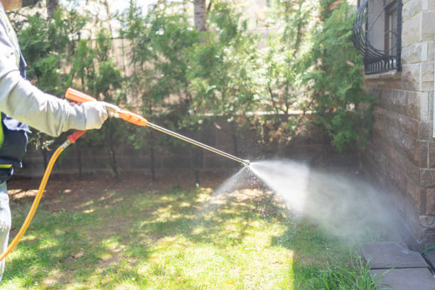 Best Exterminator Services  in Laughlin Af, TX