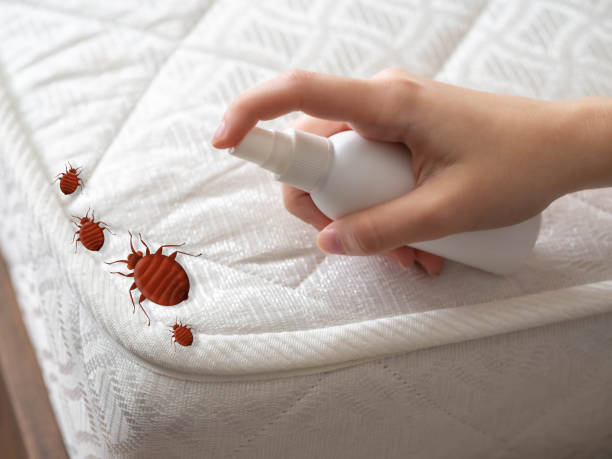 Best Affordable Pest Control Services  in Laughlin Af, TX