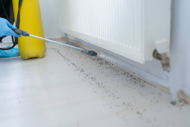 Best Best Pest Control Companies  in Laughlin Af, TX