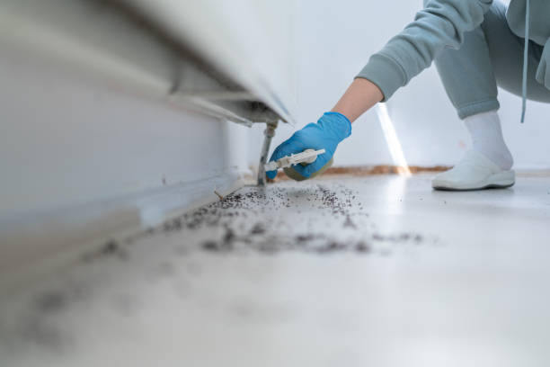 Best Cockroach Control Services  in Laughlin Af, TX
