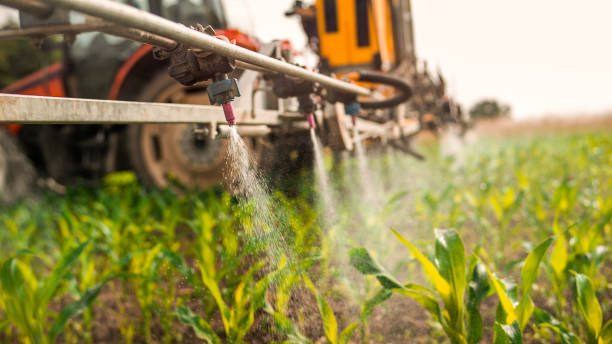 Best Ant Control Services  in Laughlin Af, TX